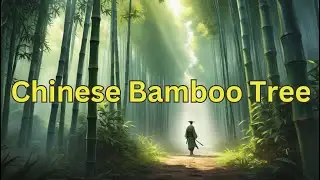 Chinese Bamboo Tree - Motivational Story | Motivational Story About Never Give Up