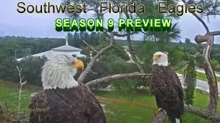SWFL Eagles - September, 21 - SEASON 9 PREVIEW - Love Is In The Air ❤️