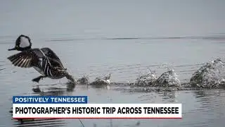 One photographer's trip around Tennessee