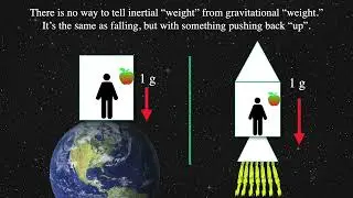 Thought Experiments for the Einstein Equivalence Principle
