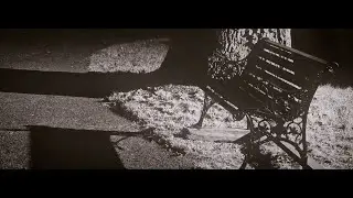 Welcome To Parkview - Brian Paone book trailer