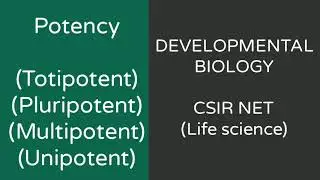 CSIR NET | #POTENCY | TOTIPOTENT PLURIPOTENT MULTIPOTENT | DEVELOPMENTAL BIOLOGY| HINDI