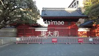[4K] Todaimae 東大前 [Tokyo 東京] [Walk 散歩] #114