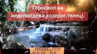 💞💓💕💗89028257779💝🌺🥰💐🤩