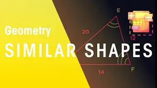 Similar Shapes | Geometry | Maths | FuseSchool