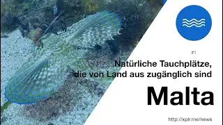 Extra Divers - Malta f&uuml;r deine Mittelmeer Bucketlist #1