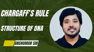 Chargaff&rsquo;s Rule
