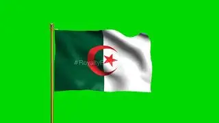 Algeria Flag HD, Algeria National Flag | Algerian Flag | Algeria Flag Green Screen | flag of Algeria