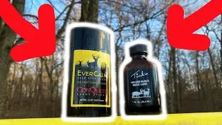 МОИ ЛЮБИМЫЕ ЗАПАХИ ОЛЕНЯ (EverCalm & TINKS #69)