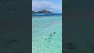Tropical zen 😌💗🏝️ #meditation #relax #relaxing #motivation #tropical #island #inspiration #peace