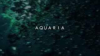 Zetyd - Aquaria