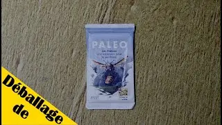 D&eacute;ballade de Paleo - Les Frelons