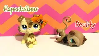 LPS: Expectations VS Reality (Halloween)