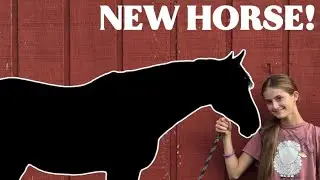 WE GOT A NEW HORSE! 