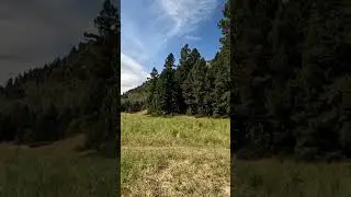 Magpie meadow 1 #Bigfoot #montana #hiking