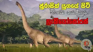 ජුරාසික් යුගයේ සිටි නිහඬ යෝධයා, බ්&zwj;රැකියෝසෝරස් -MindSpot