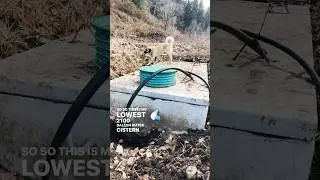 Idaho Spring-Fed Homestead Water System 💦🛠🌱 #idaho #homestead #life #happy