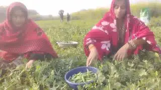 बहुत सुंदर मटर चोर कामेडी वीडियो जरूर देखे अनिता राधा कामेडी ब्लॉक comedy video