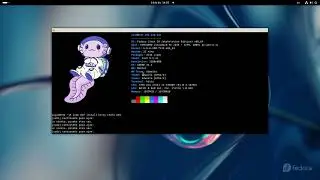 Como agregar una imagen a neofetch