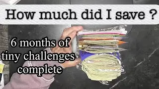 How much did I save doing Tiny challenges for 6 months! The Final Count!😮im shocked!