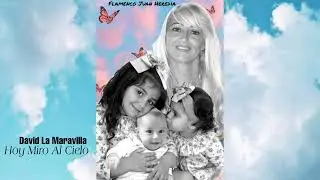 David La Maravilla - Hoy Miro Al Cielo 