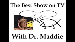 The Best Show on TV with Dr. Maddie (@ScienceSideUp)