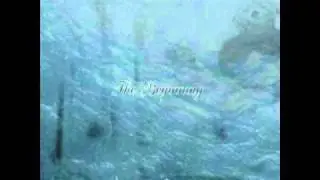 Ancestral - The Fourth