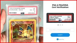 How to Verify a PSA Graded Card - PSA Authentic Cert Verification