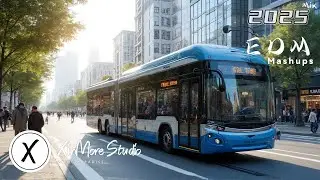 EDM Festival 2025 | Ultra Music Dance 2025 | Top Hits Remixes 2025 MEGAMIX