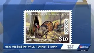 New special stamp to serve as permit for wild turkey season