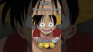 Luffy Don't Know About Whales