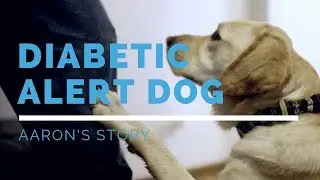 Diabetic Alert Dog Feature: Aaron's Story