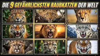 Die 9 gef&auml;hrlichsten Raubkatzen der Welt