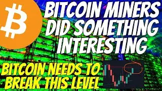 Многие майнеры биткоинов отскочили сюда &mdash; CLSK IREN BTBT RIOT MARA
