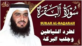 #سورة_البقرة والواقعة ويس والرحمن والملك - تلاوة خاشعة لبركة البيت والرزق#أحمد_العجمي   #راحة_نفسية