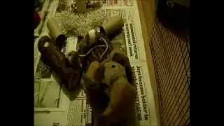 Tips for New Pet Mouse Owners