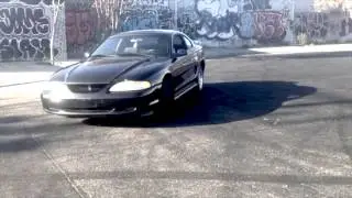 BeastLyfe SideShows 2014 (episode 2)