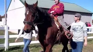 Victory Farm Therapeutic & Adaptive Horsemanship