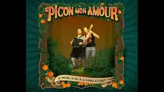 PICON MON AMOUR - misogyne 2025 (pochette anim&eacute;e)
