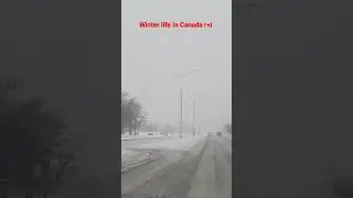 Driving in Heavy Snow Storm GTA Toronto. Massive Snow Storm ❄️. Canada 🇨🇦 #ytshorts #youtubeshorts