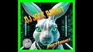 Set Psy-Trance, Trance Goa 