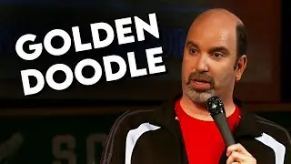 Golden Doodles | Marty Simpson Comedy