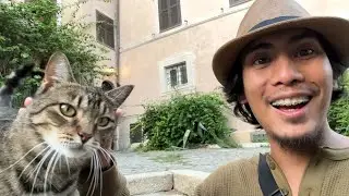 Italian P&uacute;ssi