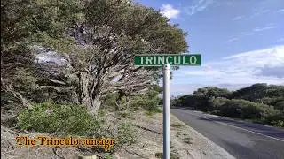 Visiting the Trinculo Shipwreck on the 90 Mile Beach