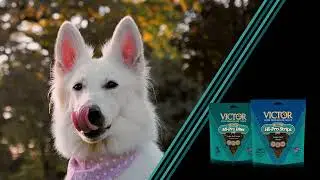 VICTOR Hi Pro Bites and Hi Pro Strips