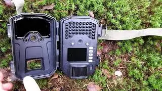 Test d'une cam&eacute;ra automatique (cam&eacute;ra de chasse)