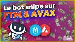 Le BOT SNIPE sur AVAX & FTM | Update, Achat et Vente !