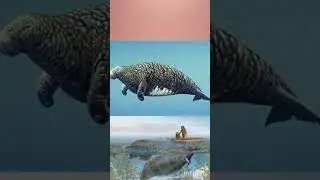 #animals #extinct animals #information about prehistory  #deforestation 