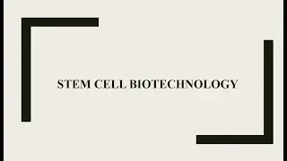 Stem Cell Biotechnology: Totipotent Cell, Pluripotent Cells, Multipotent Cells