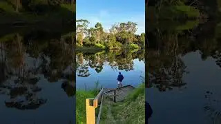 Look at this gorgeous free camp! This is a peaceful spot along the snowy river in VIC